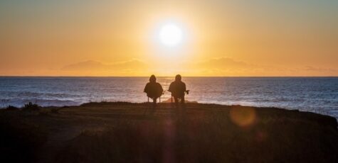 Nest Pension Transfer